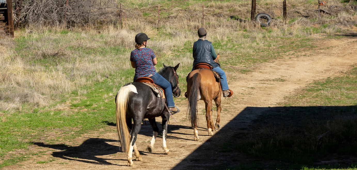 Wildwood Canyon Banner
